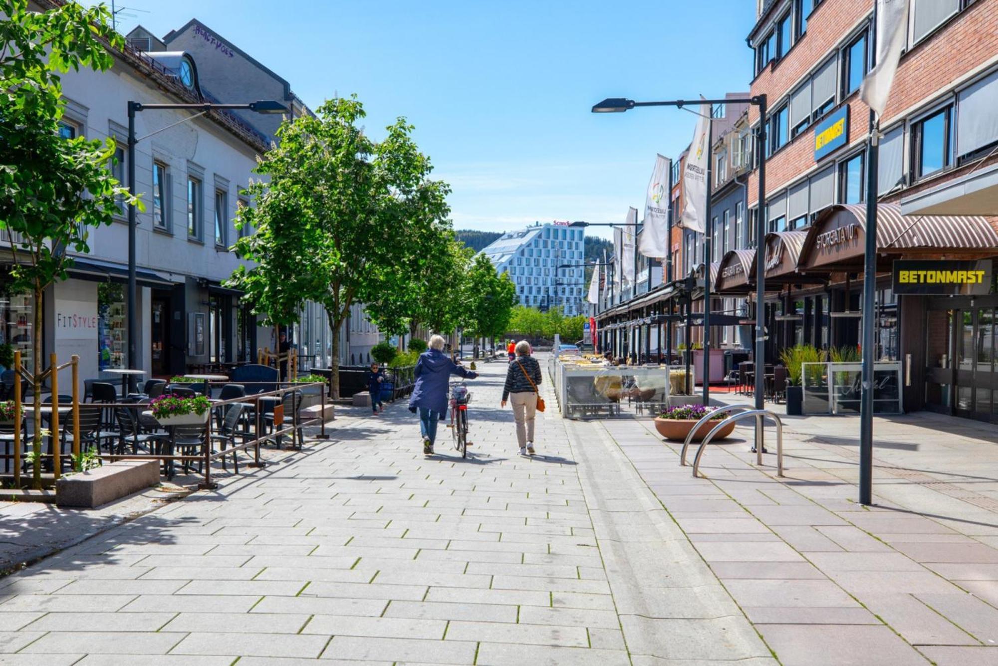 Clean And Modern - 25 Min To Oslo City & Osl 利勒斯特罗姆 外观 照片